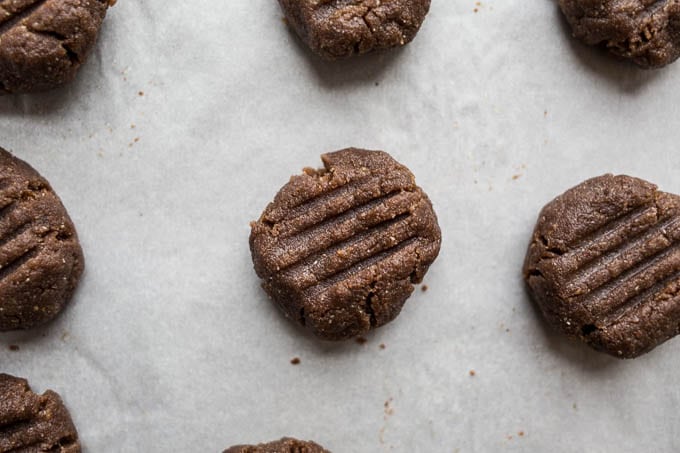 Chocolate-Dipped Hazelnut Teff Cookies (gluten-free, vegan) | saltedplains.com