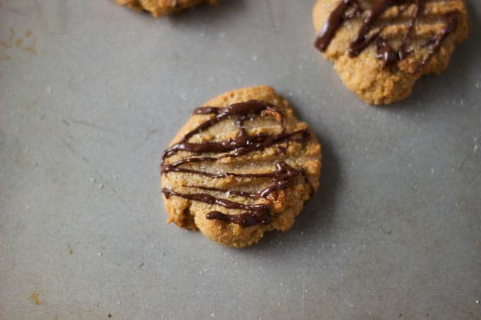 Peanut Butter Maple Cookies with Dark Chocolate and Sea Salt