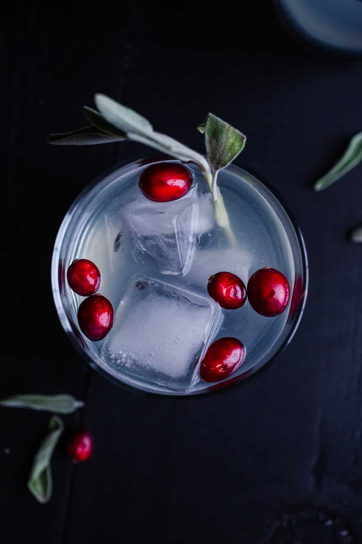 A cranberry gin cocktail with cranberries floating on top.