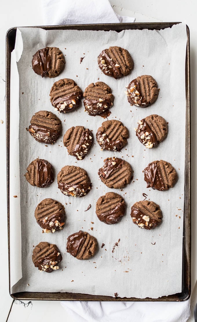 Chocolate-Dipped Hazelnut Teff Cookies (gluten-free, vegan) | saltedplains.com
