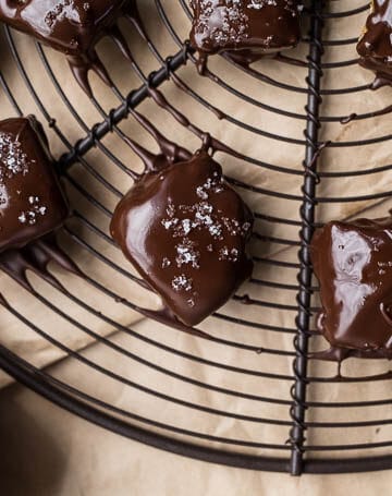 4-Ingredient Chocolate Covered Peanut Butter Bites (gluten-free, vegan) | saltedplains.com