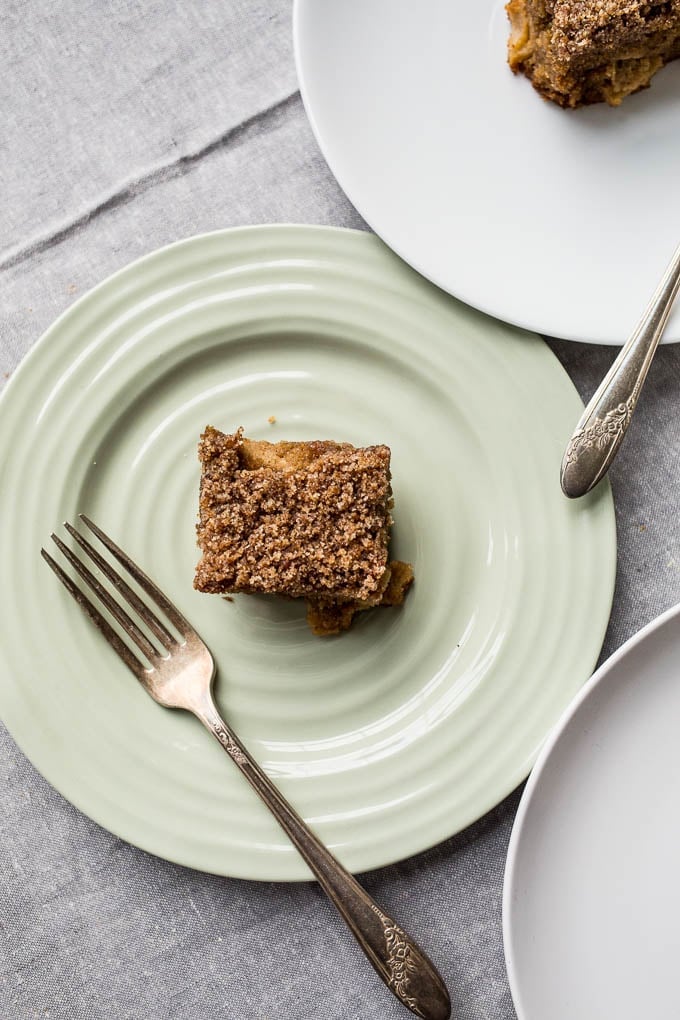 Gluten-Free Apple Crumb Cake recipe (dairy-free) | saltedplains.com