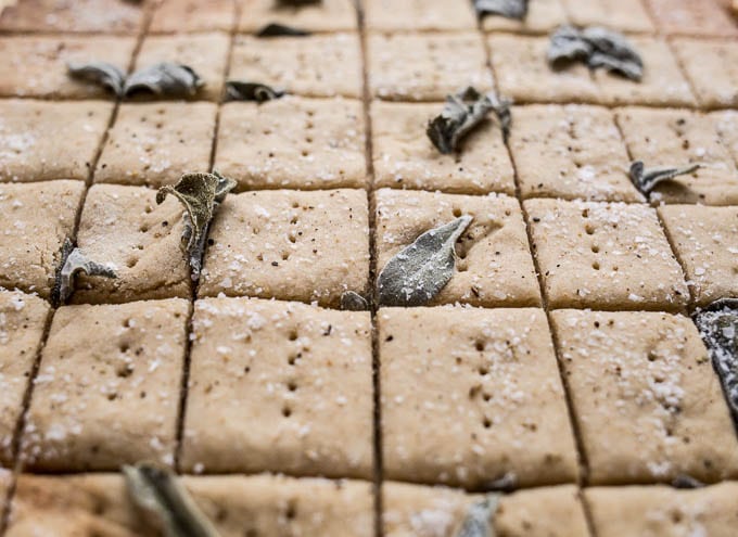 Savory Oat Crackers recipe (gluten-free) | saltedplains.com