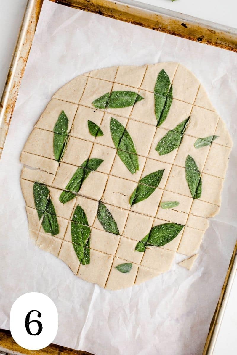 Oat cracker dough cut into squares on a baking sheet.
