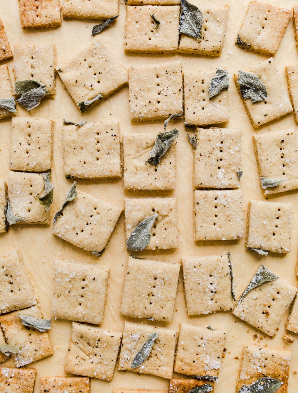Homemade Savory Oat Crackers (GlutenFree) Salted Plains
