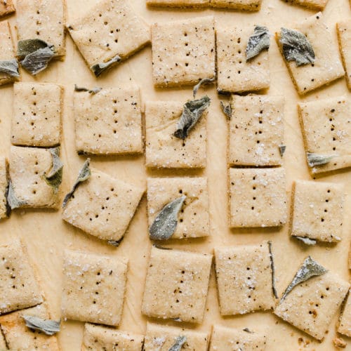 https://saltedplains.com/wp-content/uploads/2020/03/gluten-free-recipes-oat-crackers-500x500.jpg