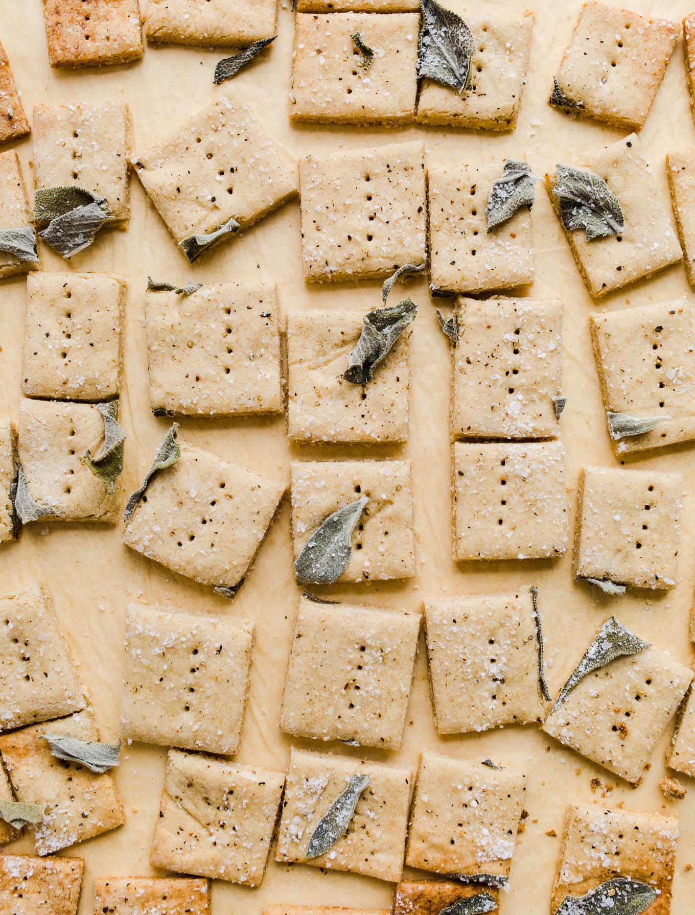 Crackers with pressed sage spread on a piece of parchment paper.