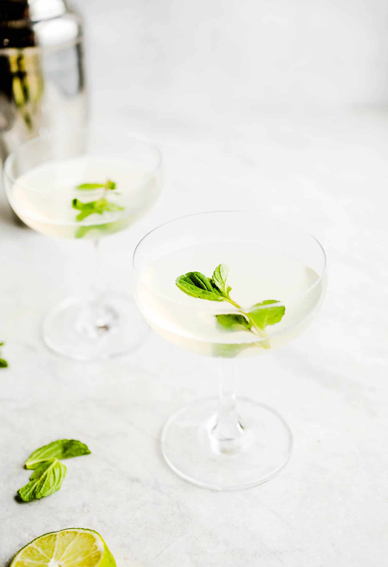 Two coupe glasses filled with a gin gimlet garnished with mint.
