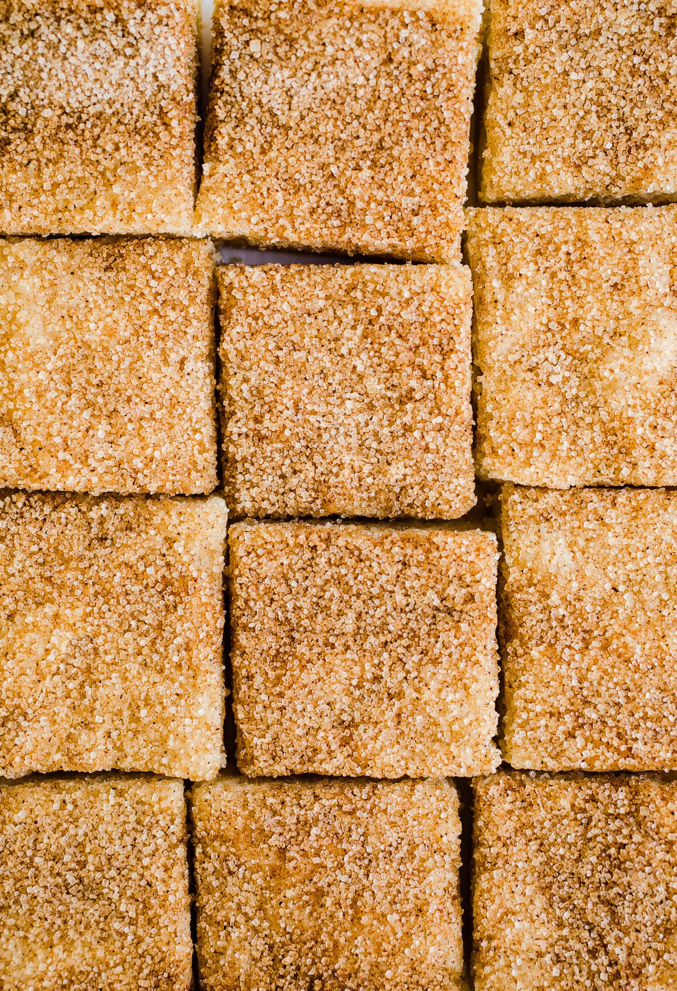 Snickerdoodle squares