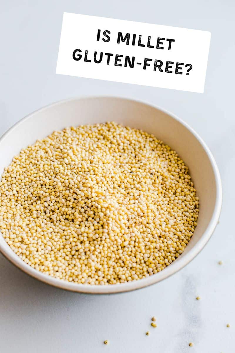 Is Millet Gluten-Free? – Salted Plains