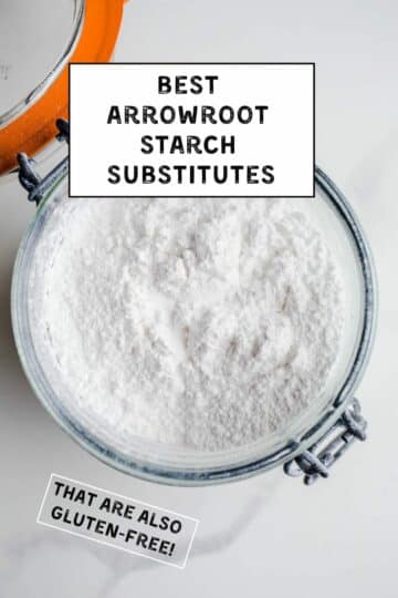 Best Arrowroot Starch Substitutes – Salted Plains