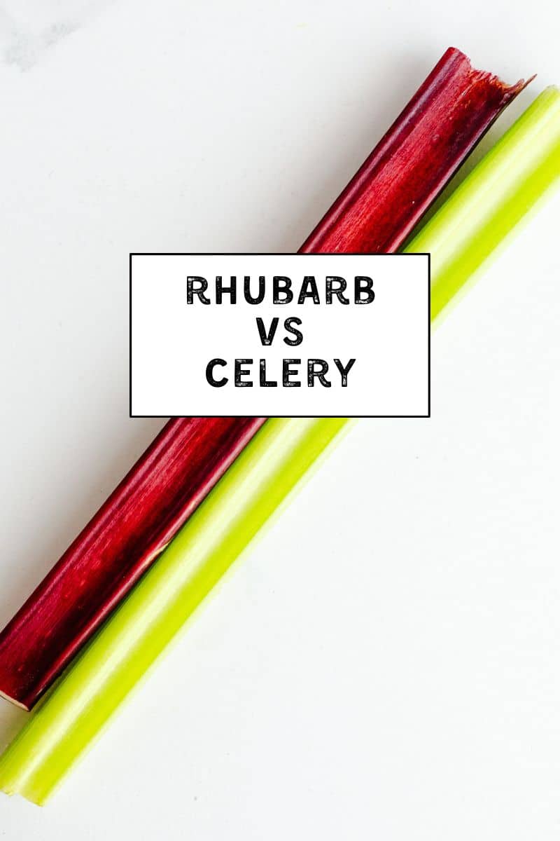 Rhubarb vs Celery: What's the Difference? – Salted Plains