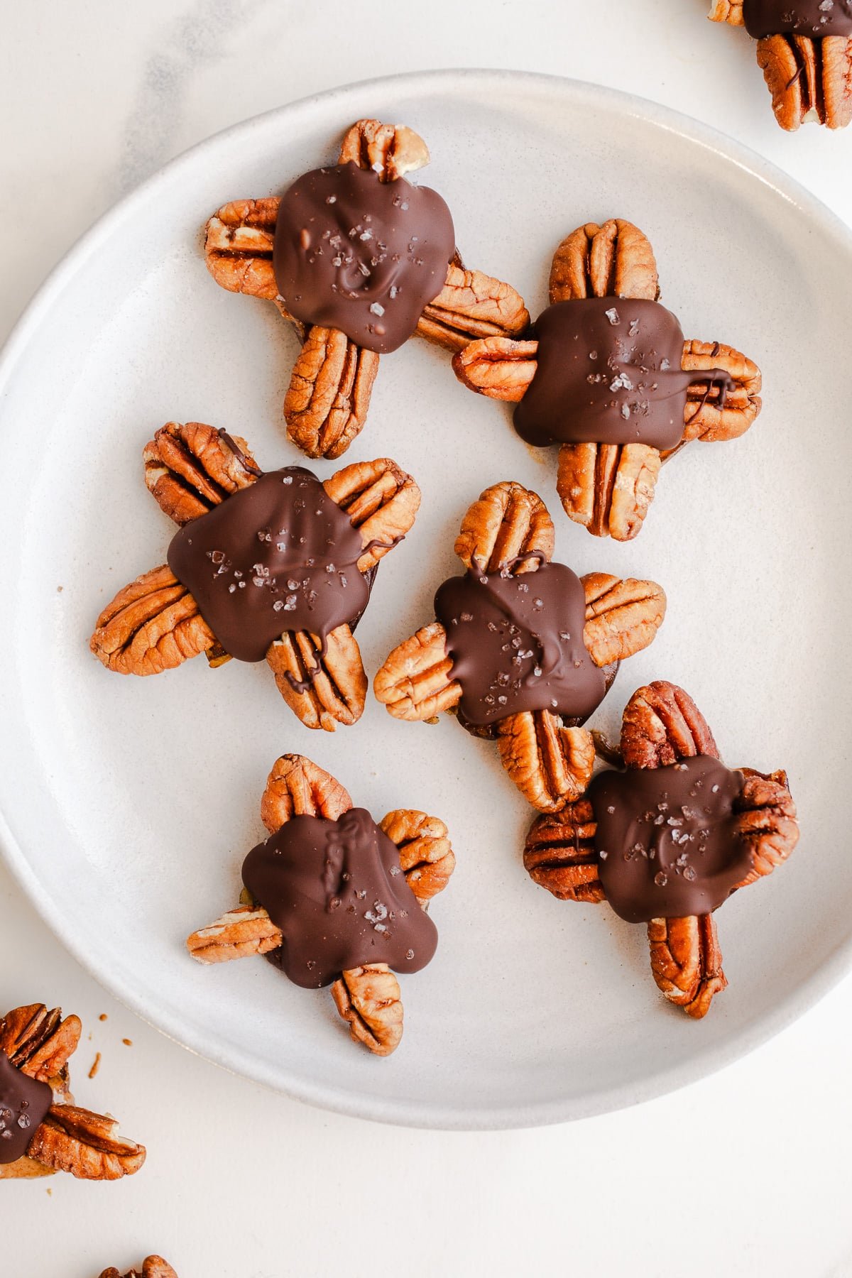 Chocolate turtle candies on a plate.