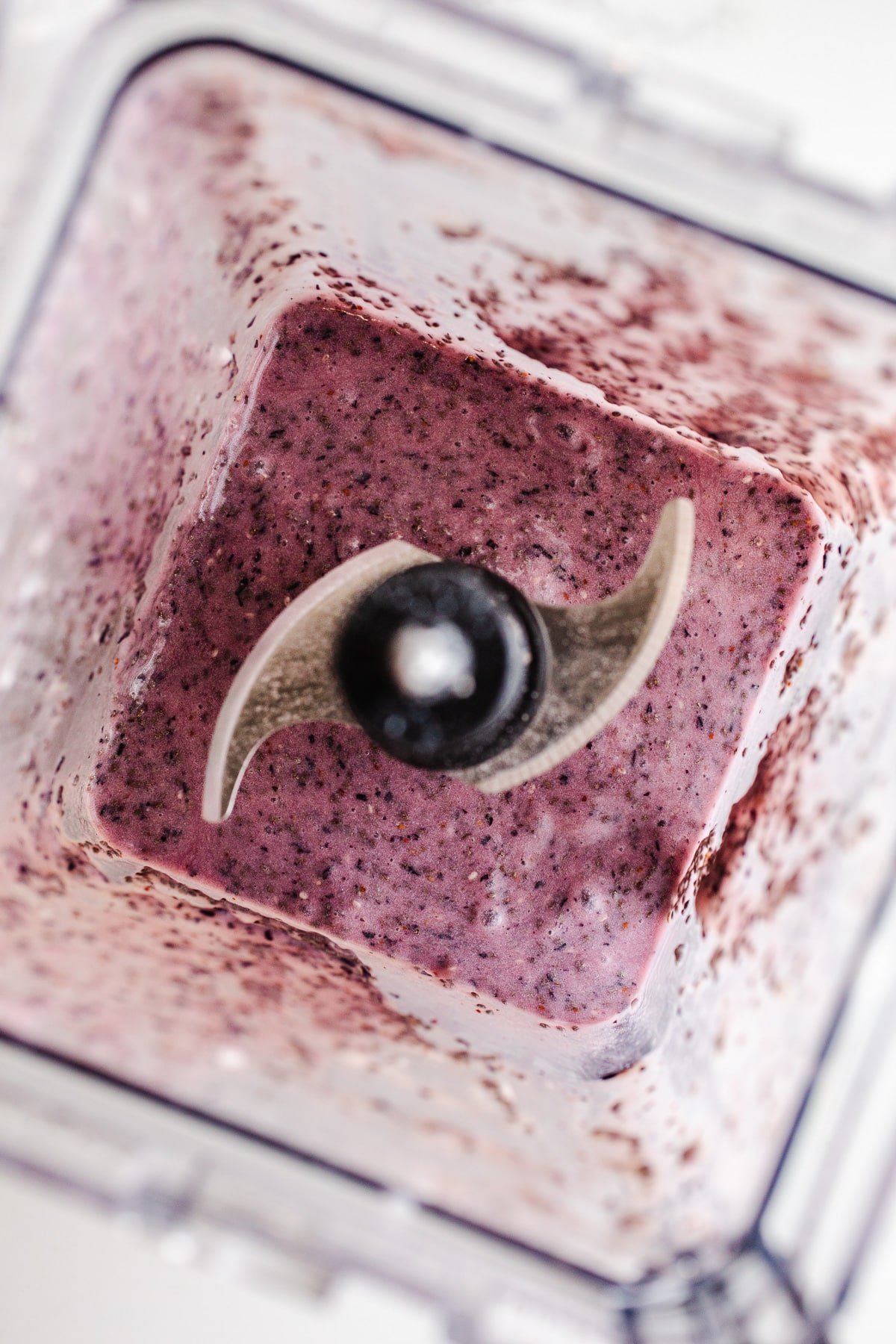 Pureed blueberries, coconut milk, and chia seeds.